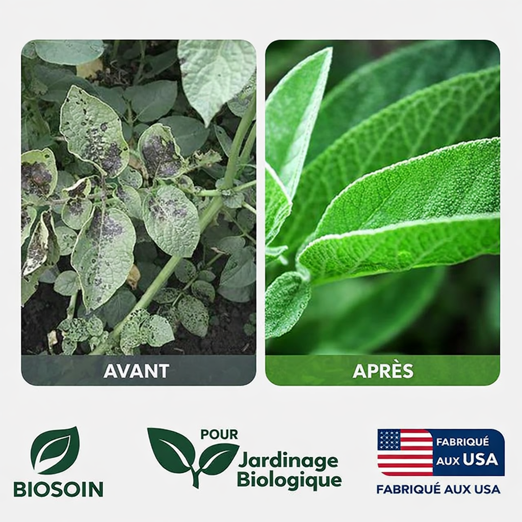 BioSoin Total : La solution 3-en-1 Bio-Actif qui soigne, protège et fait briller