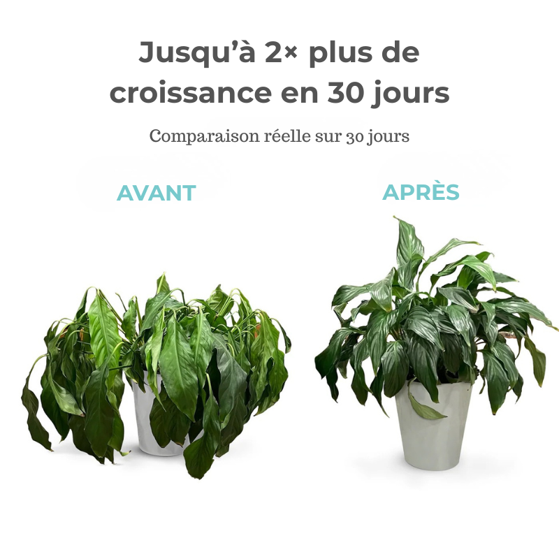 GreenBooster 1L – Le Secret des Plantes Vertes et Luxuriantes