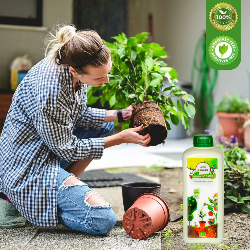 GreenBooster 1L – Le Secret des Plantes Vertes et Luxuriantes